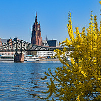 Amt für katholische Religionspädagogik Frankfurt