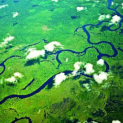 Regenwald , Landschaft, Regionen, Regenwald / Tropen,  Tropen, Stadt ,  Land, Alle anzeigen, Brasilien