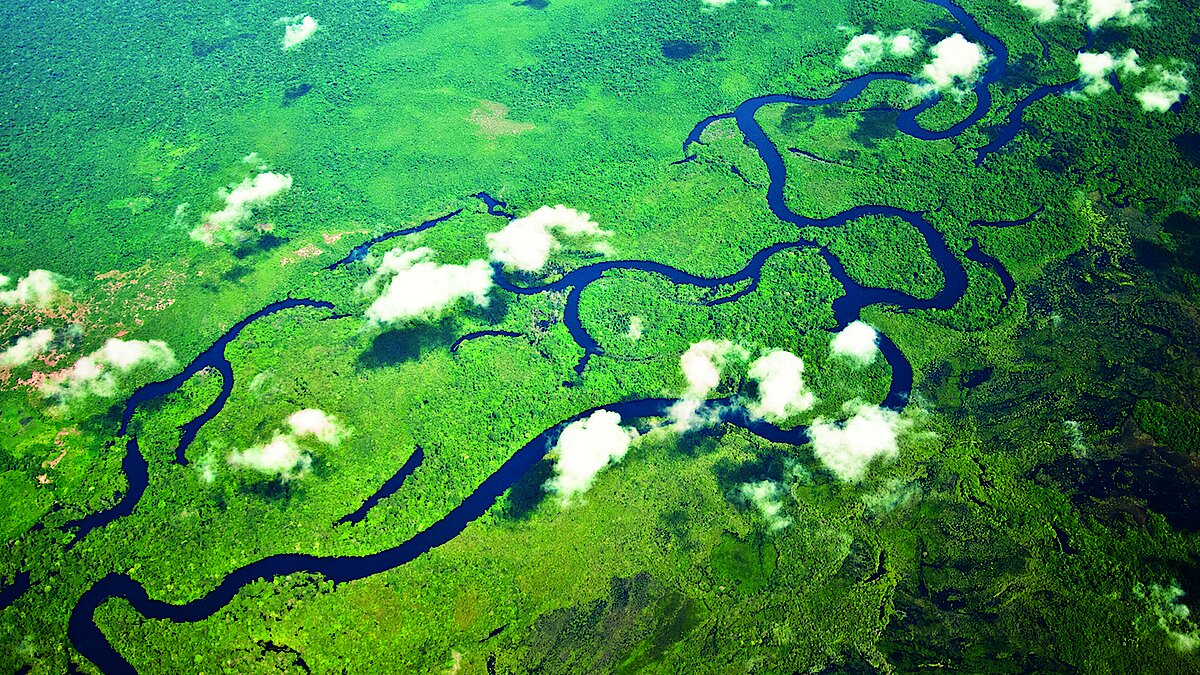 2.12.22, 19-21 Uhr: Die Zukunft der Menschheit wird am Amazonas entschieden