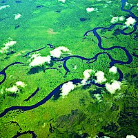 2.12.22, 19-21 Uhr: Die Zukunft der Menschheit wird am Amazonas entschieden